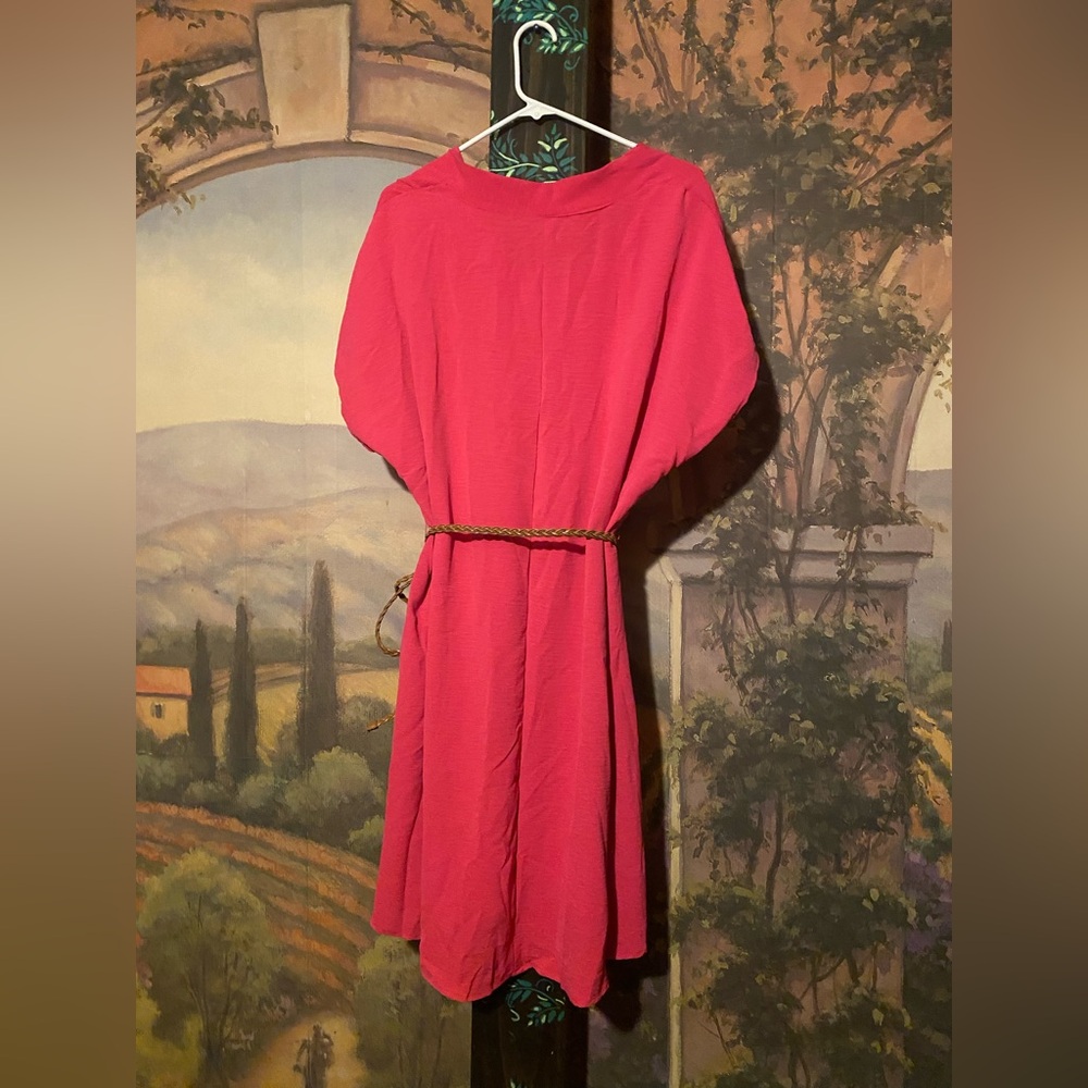 Pink drop shoulder sleeve dress with braided belt NWOT - Picture 3 of 7